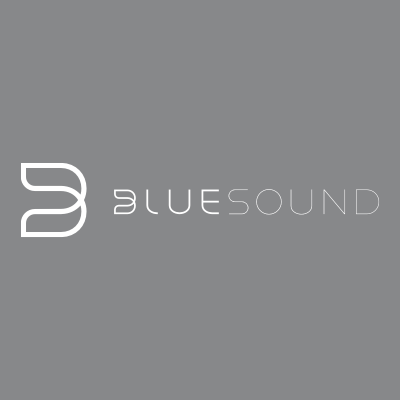unser Audio Hersteller BlueSound im smartraum in Karlsruhe